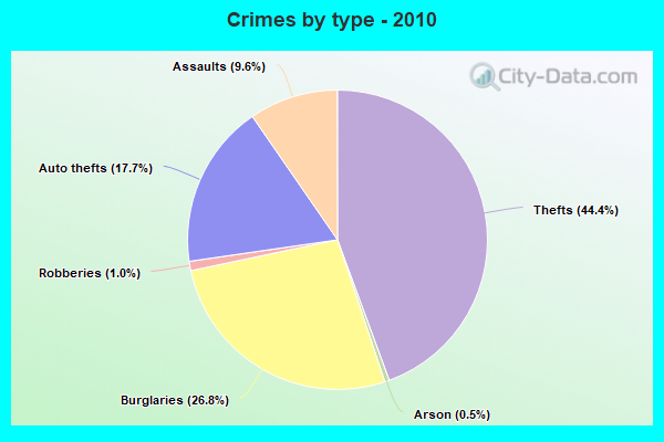 Crimes by type - 2010