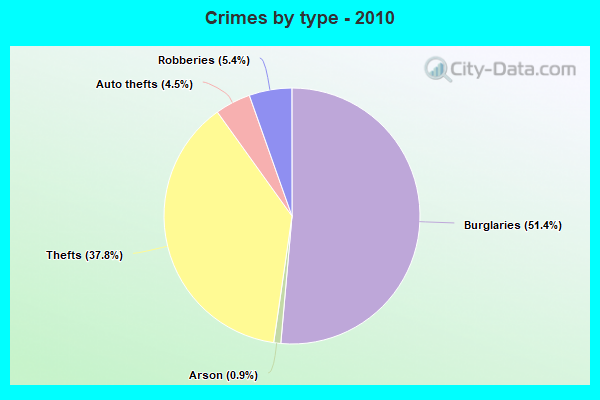 Crimes by type - 2010