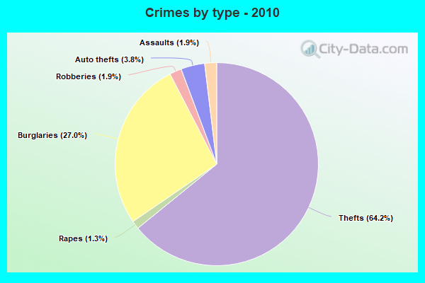 Crimes by type - 2010