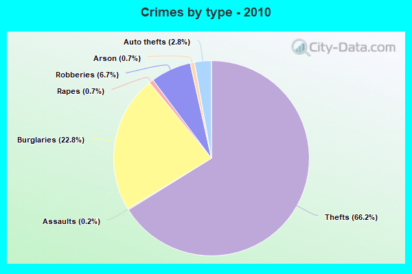 Crimes by type - 2010