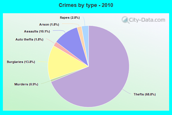 Crimes by type - 2010