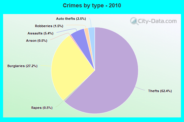 Crimes by type - 2010