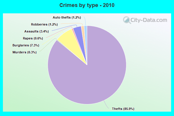 Crimes by type - 2010