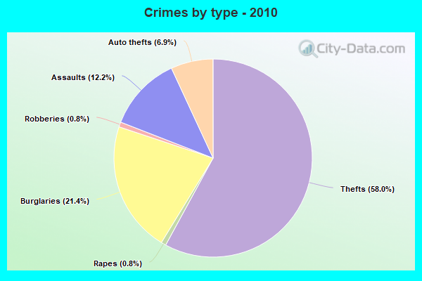 Crimes by type - 2010