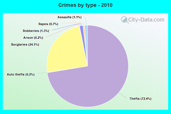 Crimes by type - 2010