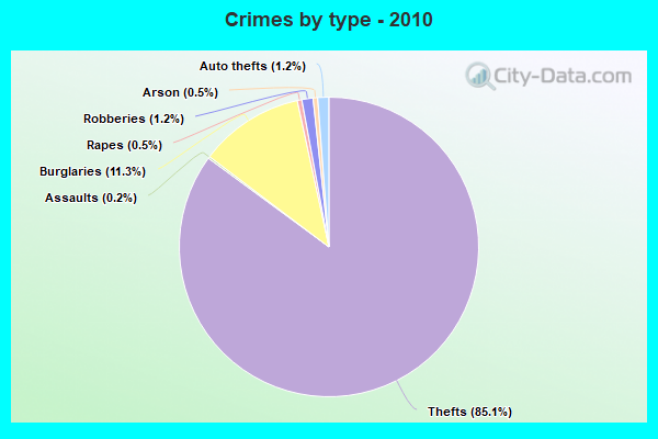 Crimes by type - 2010