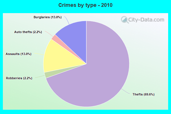 Crimes by type - 2010