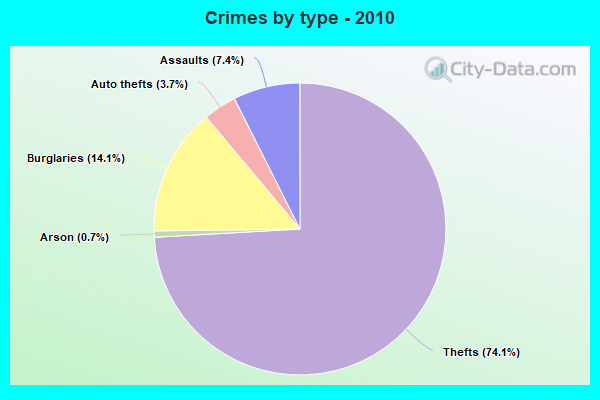 Crimes by type - 2010