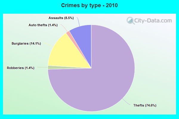 Crimes by type - 2010