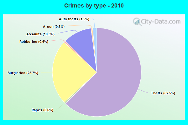 Crimes by type - 2010