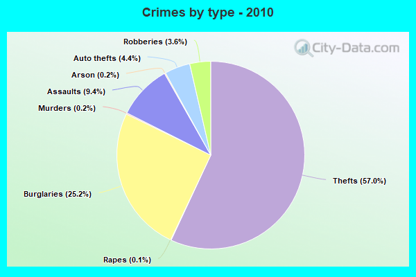 Crimes by type - 2010