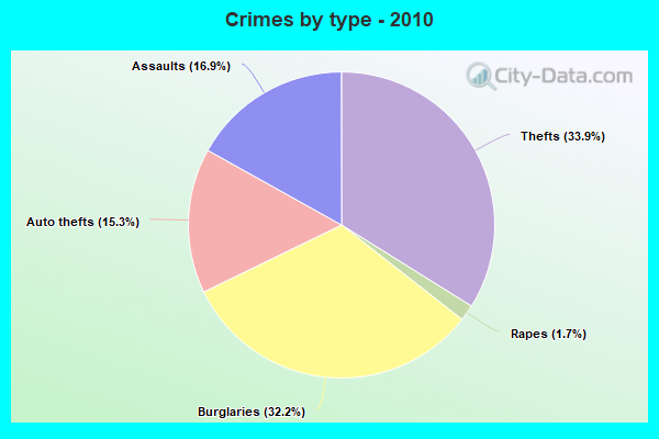 Crimes by type - 2010