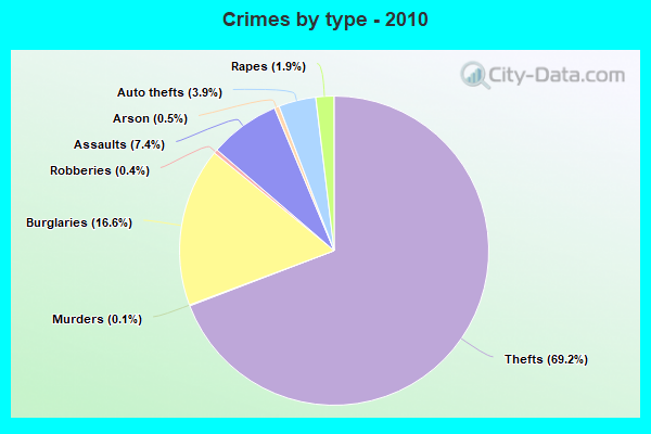 Crimes by type - 2010