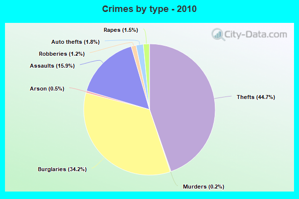 Crimes by type - 2010