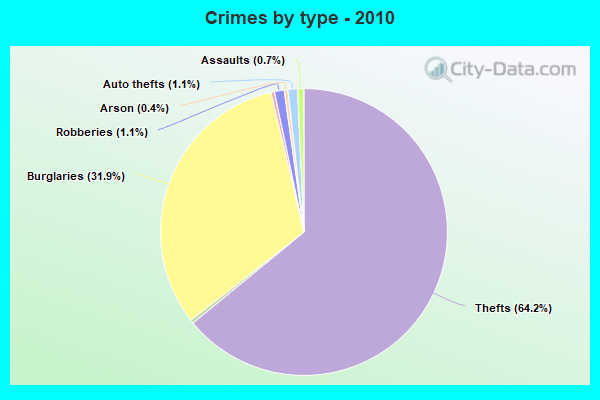 Crimes by type - 2010