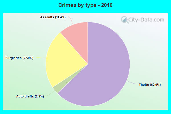 Crimes by type - 2010