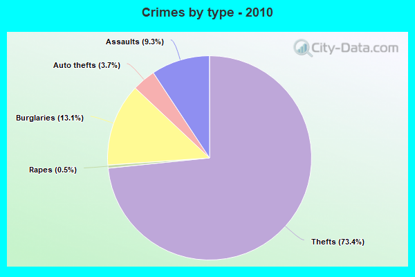 Crimes by type - 2010