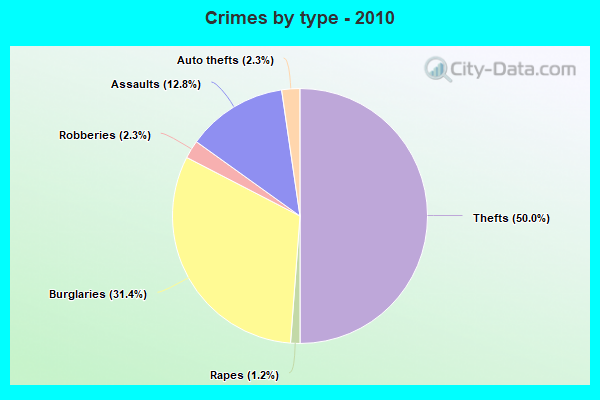 Crimes by type - 2010