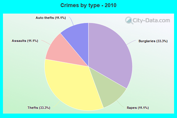 Crimes by type - 2010