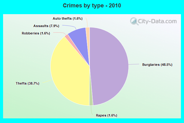 Crimes by type - 2010