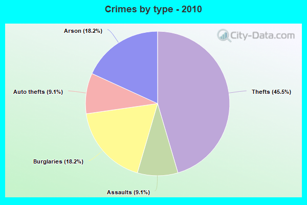 Crimes by type - 2010