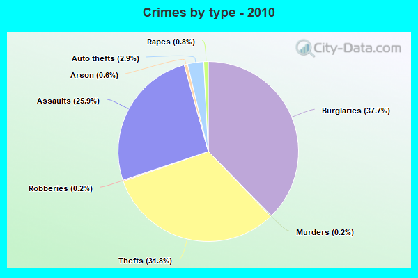 Crimes by type - 2010