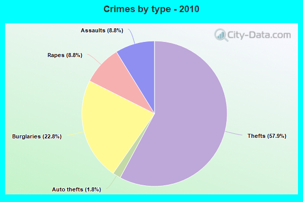 Crimes by type - 2010