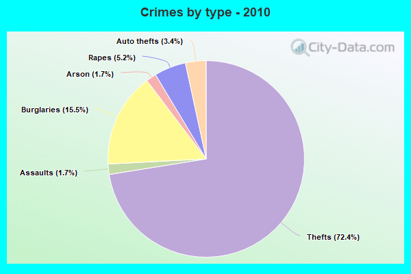 Crimes by type - 2010