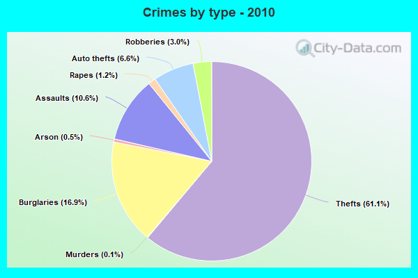 Crimes by type - 2010