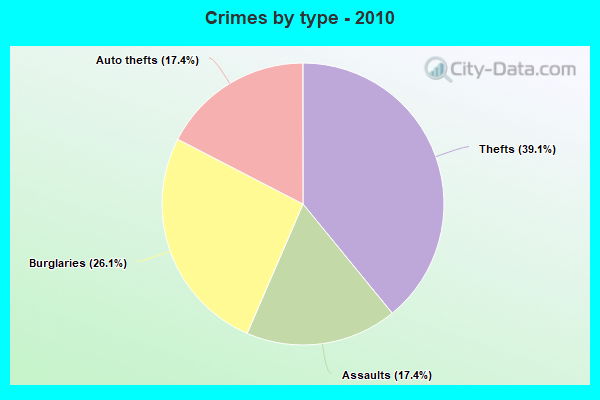 Crimes by type - 2010