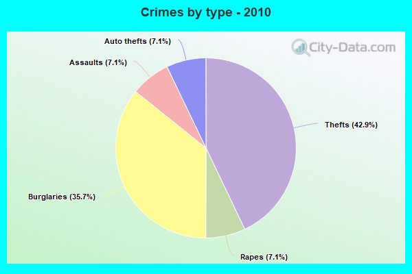 Crimes by type - 2010