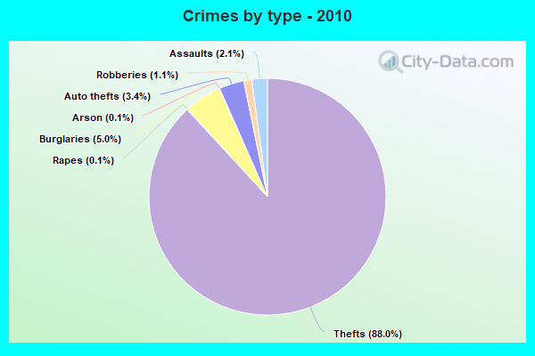 Crimes by type - 2010