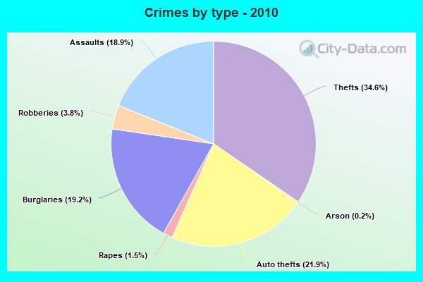 Crimes by type - 2010