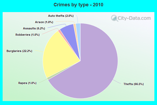 Crimes by type - 2010