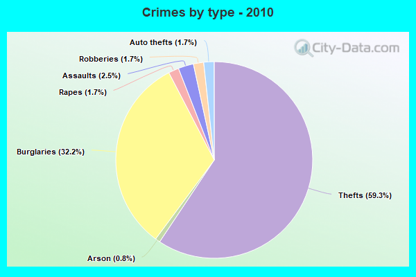 Crimes by type - 2010