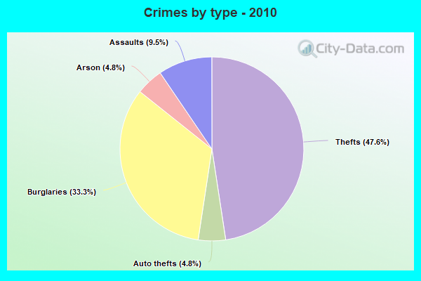 Crimes by type - 2010