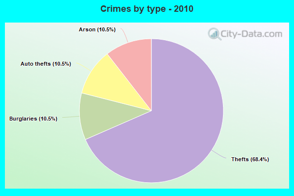 Crimes by type - 2010