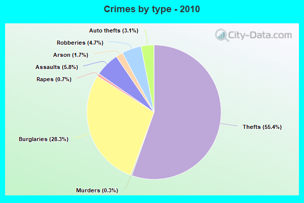 Crimes by type - 2010