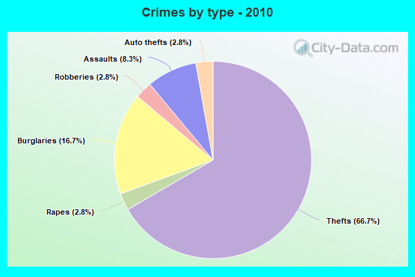 Crimes by type - 2010