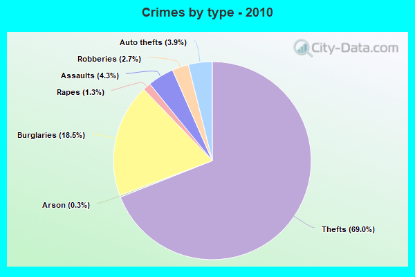 Crimes by type - 2010