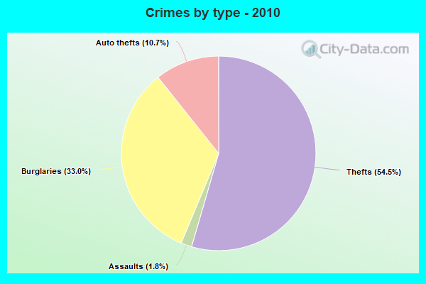 Crimes by type - 2010