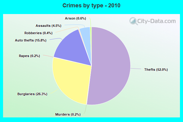 Crimes by type - 2010