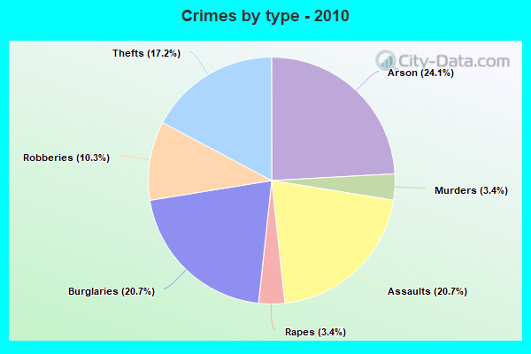 Crimes by type - 2010