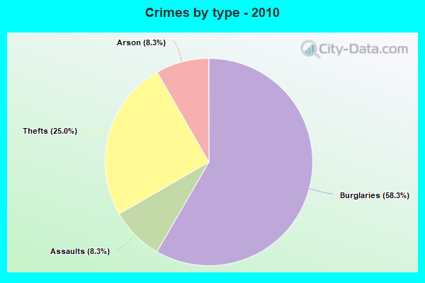 Crimes by type - 2010