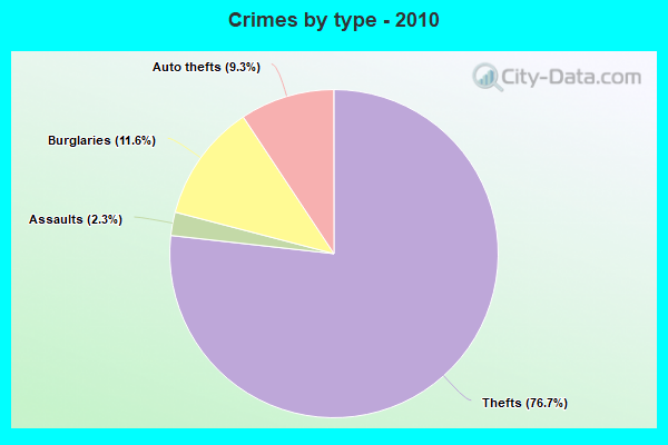 Crimes by type - 2010