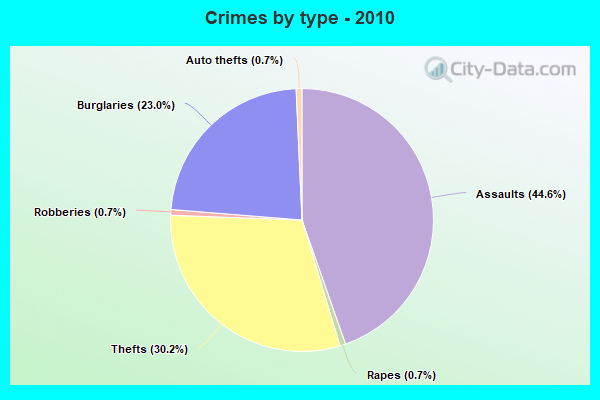 Crimes by type - 2010