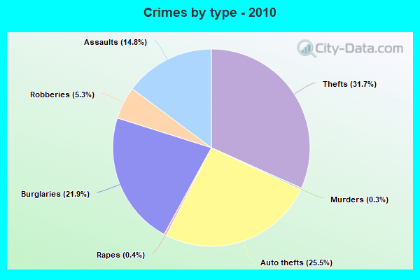 Crimes by type - 2010