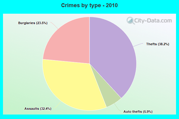 Crimes by type - 2010