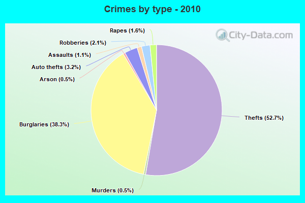 Crimes by type - 2010