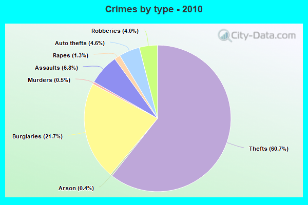 Crimes by type - 2010